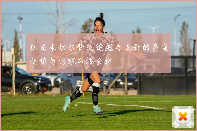 狄龙米切尔赞范德彪与麦丹的身高优势与打球风格分析