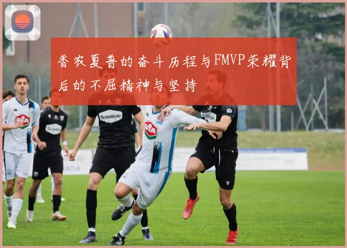 香农夏普的奋斗历程与FMVP荣耀背后的不屈精神与坚持